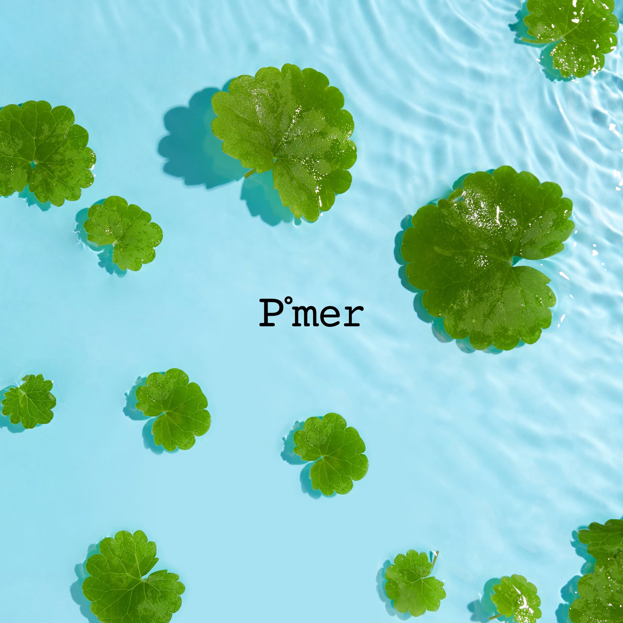 Puremer – Puremer Japan